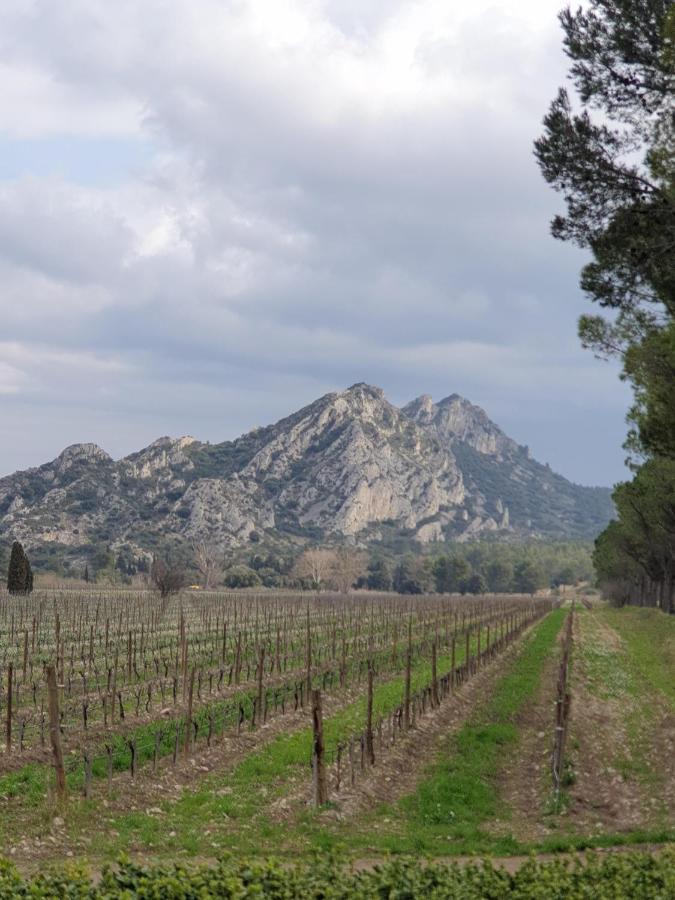 Saint-Rémy-de-ProvenceLes Estrellesアパートメント エクステリア 写真